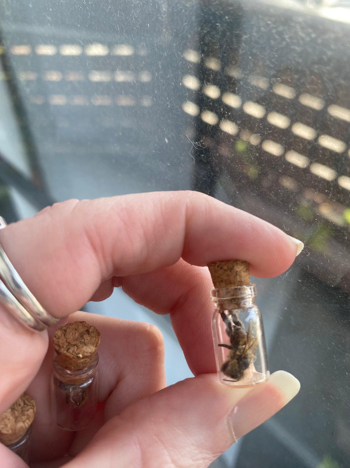 Bee Vials