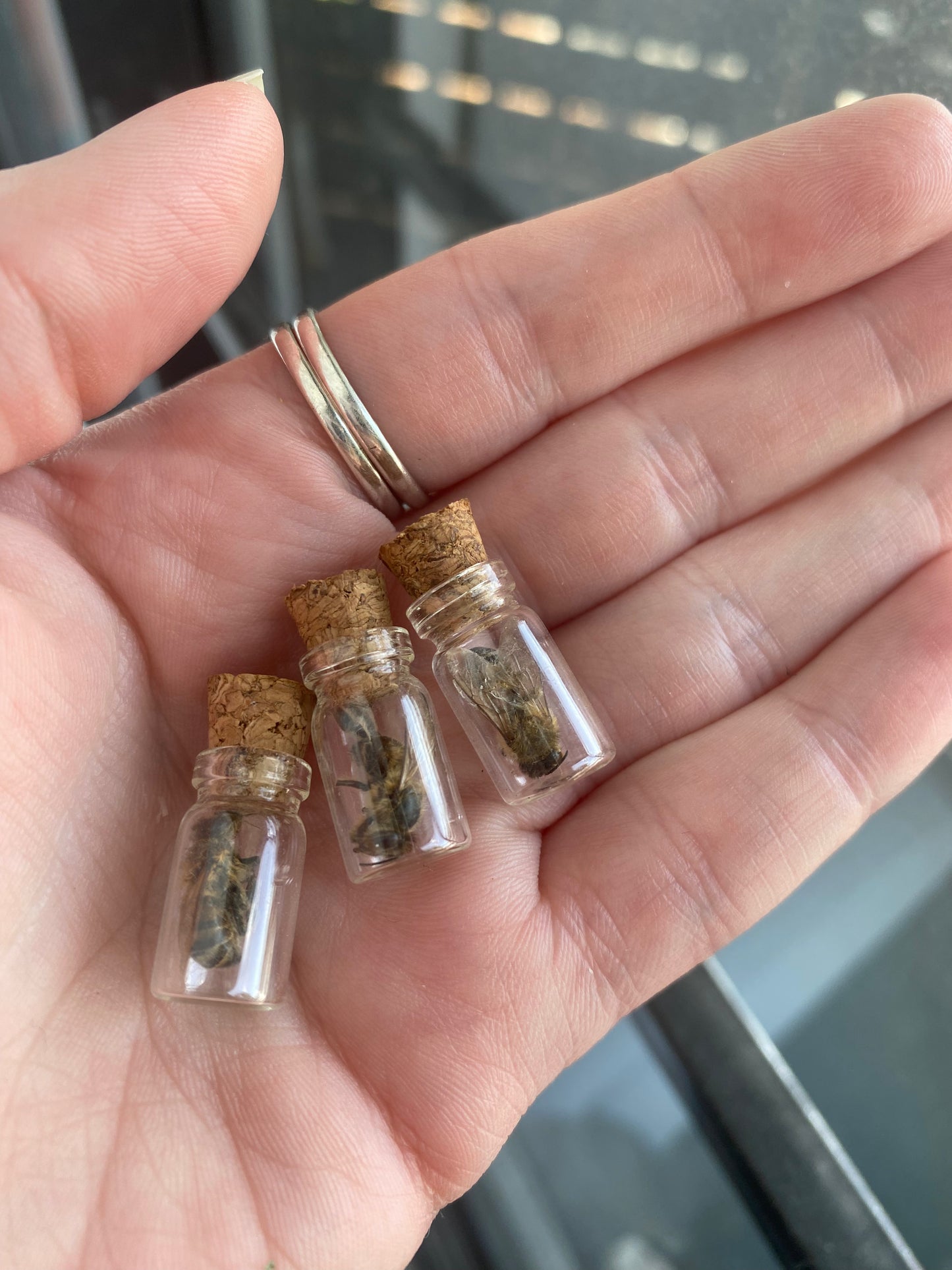 Bee Vials