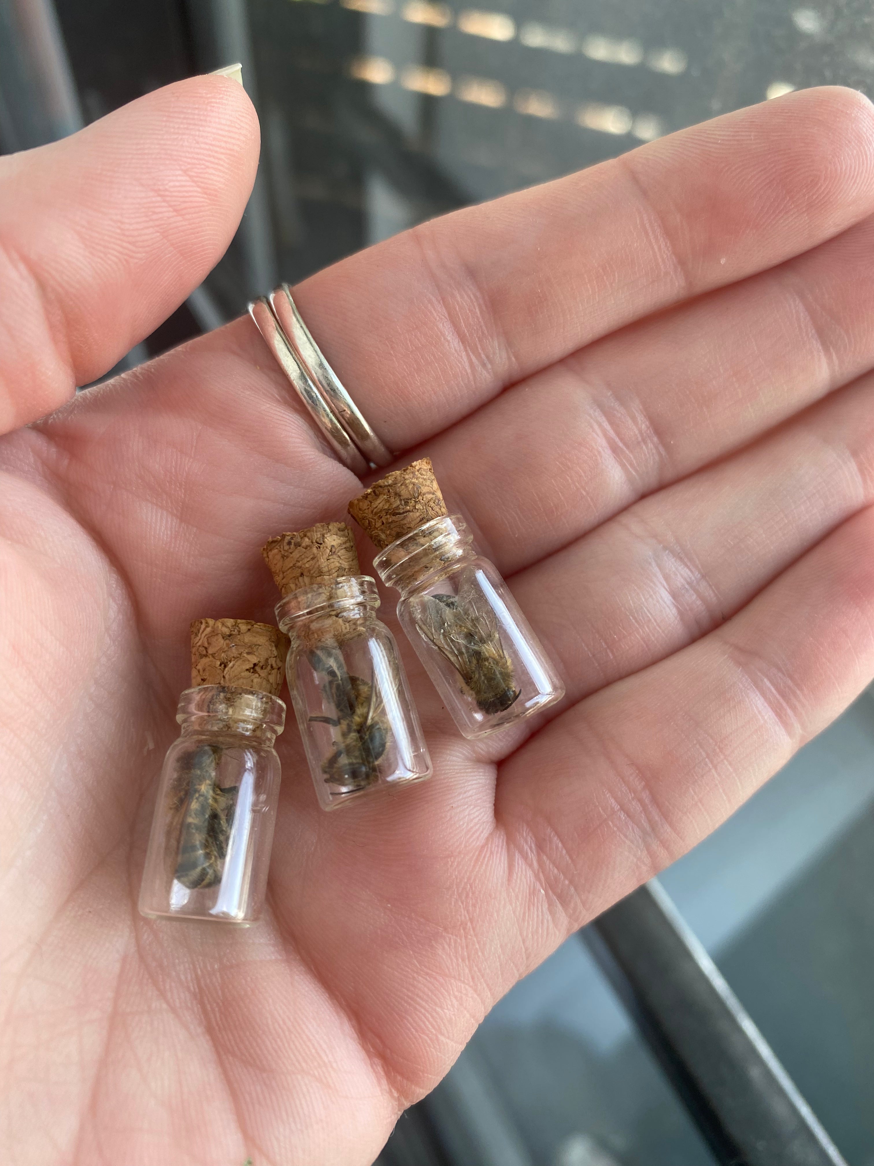 Bee Vials