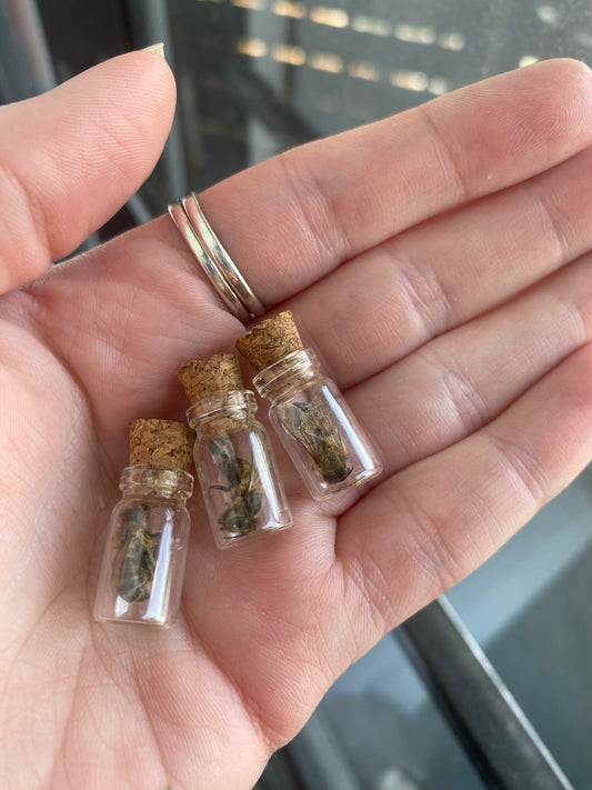 Bee Vials